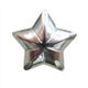Nickel Plated 5 Point Star (Head Size: 1/2" Nail Length: 1/2")