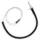 PSE Flame Sensing Electrode and Cable 36"